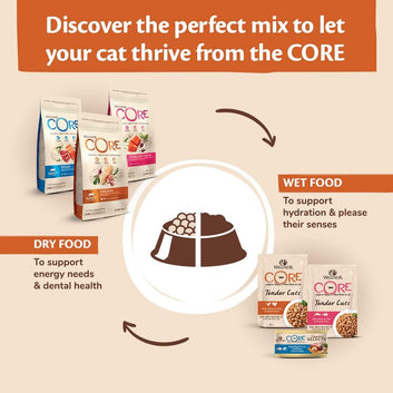 Wellness CORE Sterilised Ocean 4 kg, Salmon – Dry Cat Food for Sterlised/Indoor Cats, Grain-Free, Natural, Hypoallergenic, Protein-Rich, High Fish Content, Supports Healthy Skin & Shiny Coat